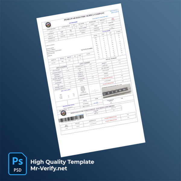 Pakistan Peshawar Electric Supply Company Editable Electricity Bill Template in Word and PDF formats