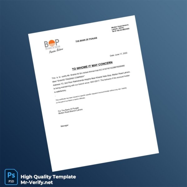 Pakistan Bank Statement Template in Word and PDF formats Pakistan Bank Statement Template in Word and PDF formats