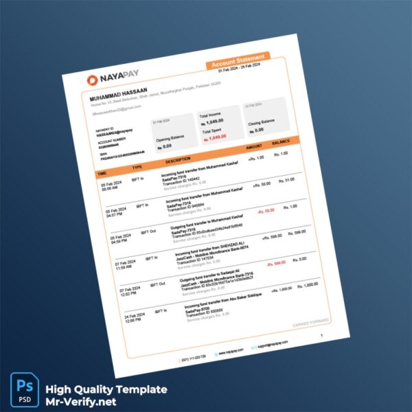 Pakistan NayaPay Account Statement Template in Word and PDF formats