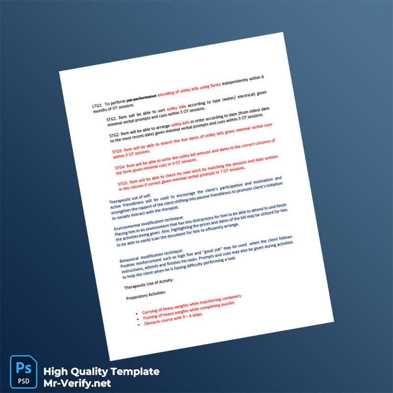 Philippines Editable Occupational Therapy Plan of Action Template in Word and PDF formats page 2 Philippines Editable Occupational Therapy Plan of Action Template in Word and PDF formats page 2