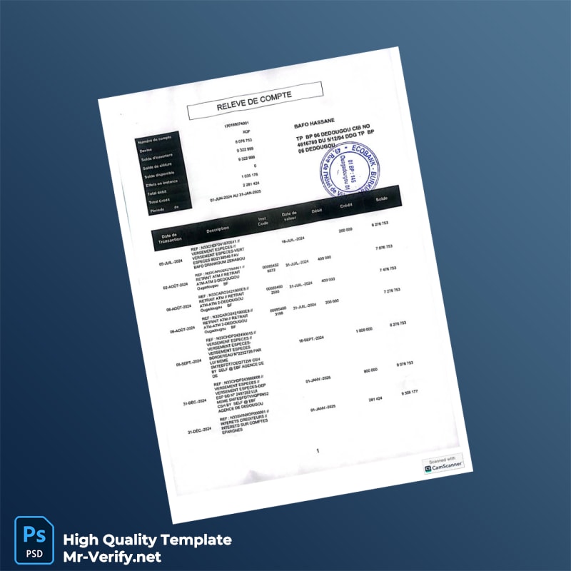 Senegal Bank Statement Template in Word and PDF formats Senegal Bank Statement Template in Word and PDF formats