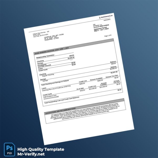 Singapore Citibank Account Statement Template in Word and PDF formats