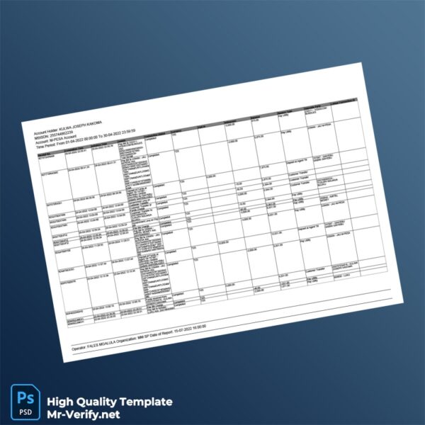 Tanzania Editable Transaction Summary Template in Word and PDF formats