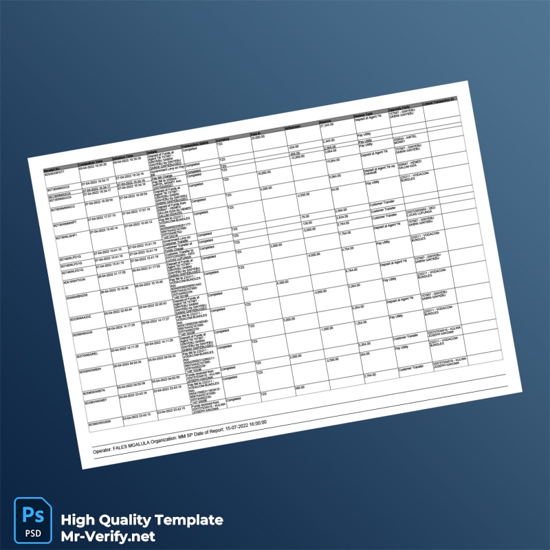 Tanzania Editable Transaction Summary Template in Word and PDF formats page 3 Tanzania Editable Transaction Summary Template in Word and PDF formats page 3