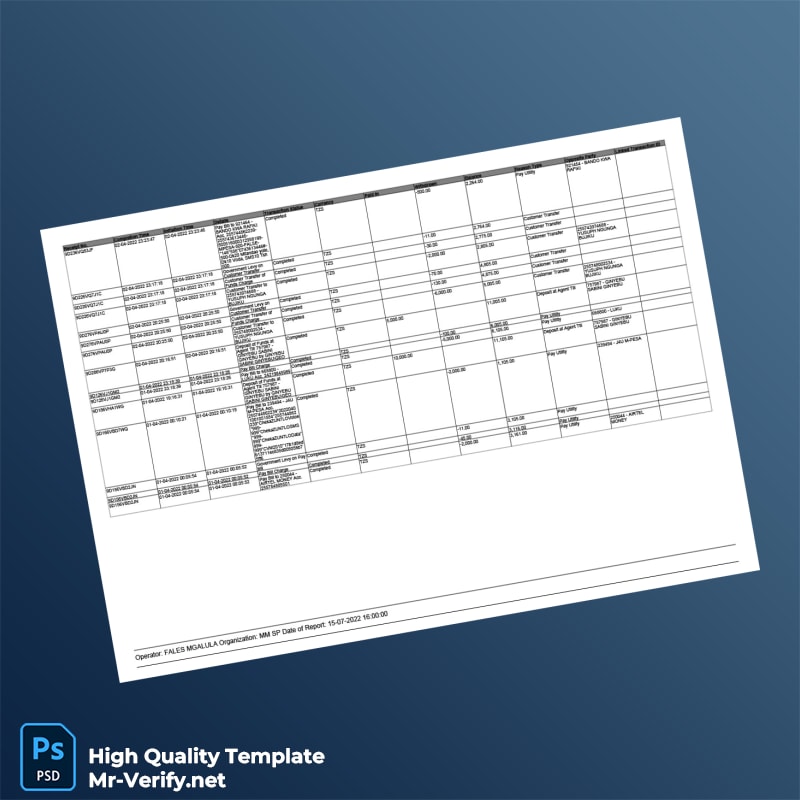 Tanzania Editable Transaction Summary Template in Word and PDF formats page 4 Tanzania Editable Transaction Summary Template in Word and PDF formats page 4