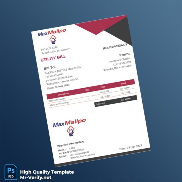Tanzania MaxMalipo Editable Utility Bill Template in Word and PDF formats Tanzania MaxMalipo Editable Utility Bill Template in Word and PDF formats