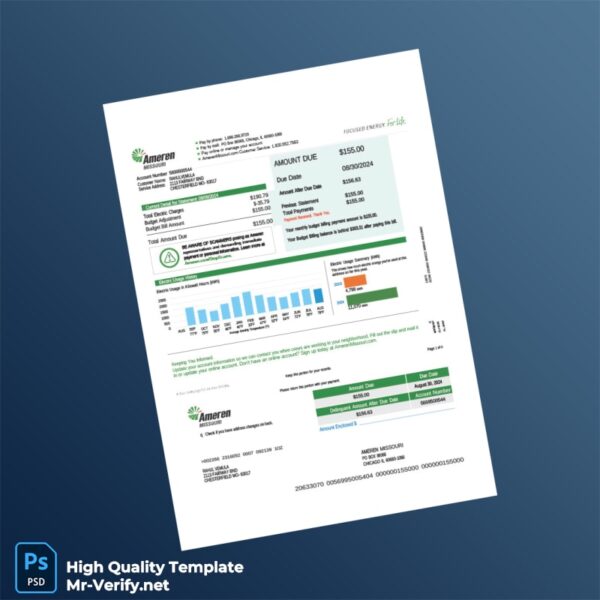 USA Ameren Editable Utility Bill Template in Word and PDF formats