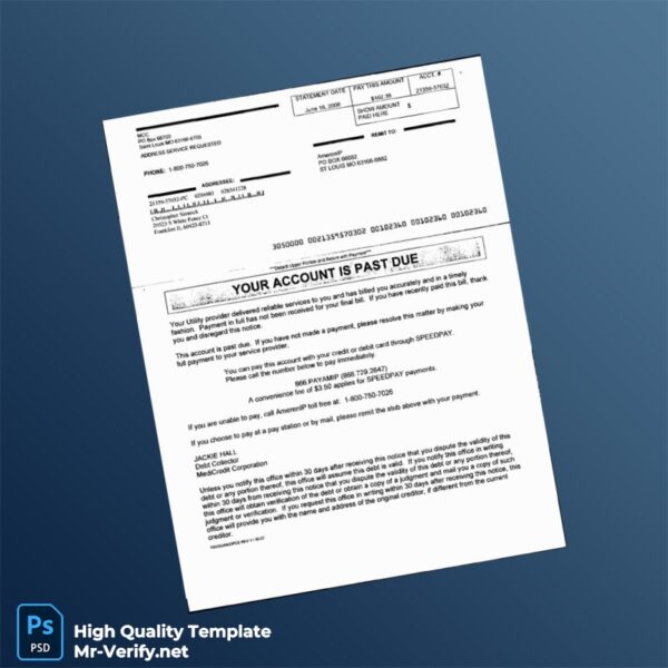 USA AmerenIP Editable Utility Bill Template in Word and PDF formats USA AmerenIP Editable Utility Bill Template in Word and PDF formats