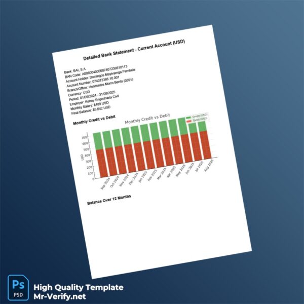 USA BAI S A Bank Statement Template in Word and PDF formats USA BAI S A Bank Statement Template in Word and PDF formats
