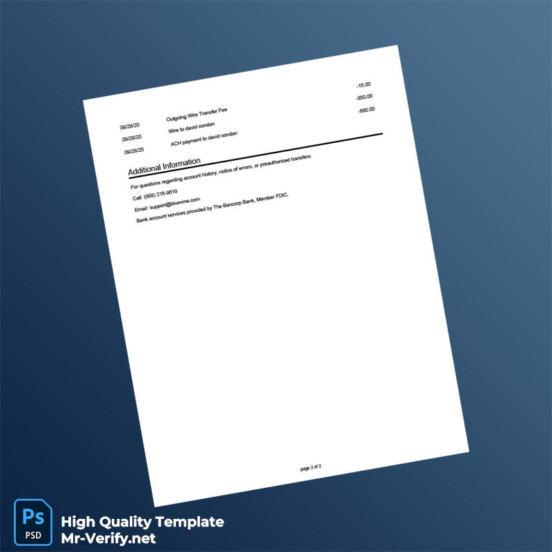 USA Bluevine Bank Statement Template in Word and PDF formats page 2 USA Bluevine Bank Statement Template in Word and PDF formats page 2