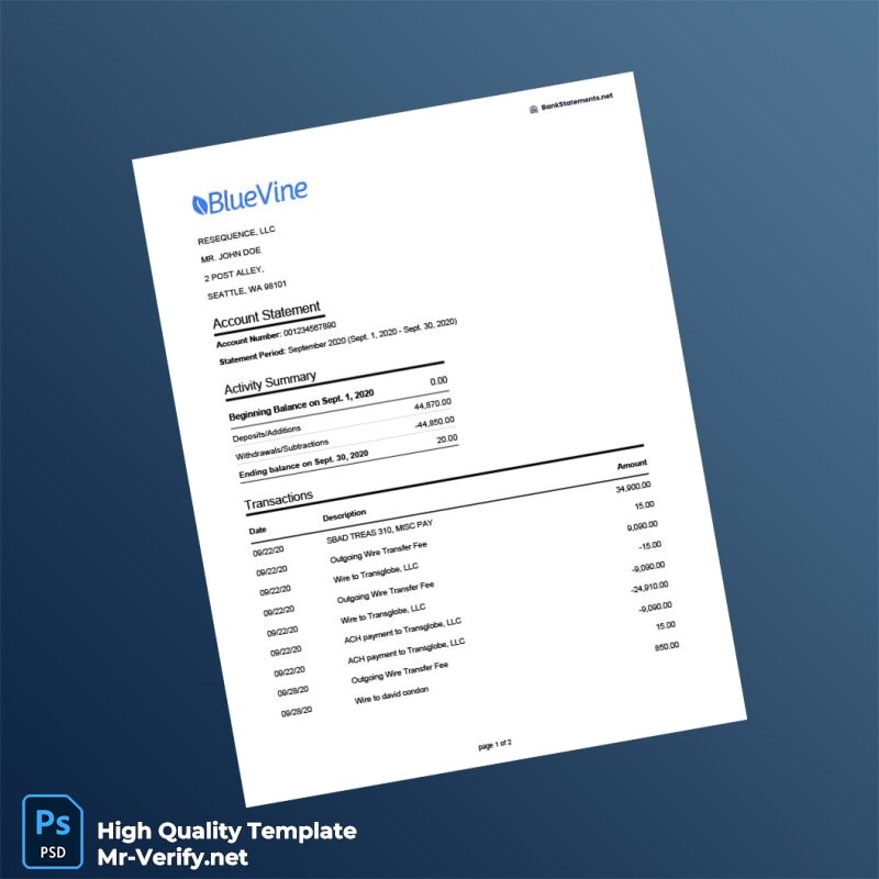 USA Bluevine Bank Statement Template in Word and PDF formats USA Bluevine Bank Statement Template in Word and PDF formats