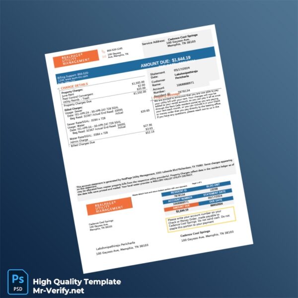 USA Cadence Cool Springs Editable Billing Statement Template in Word and PDF formats USA Cadence Cool Springs Editable Billing Statement Template in Word and PDF formats