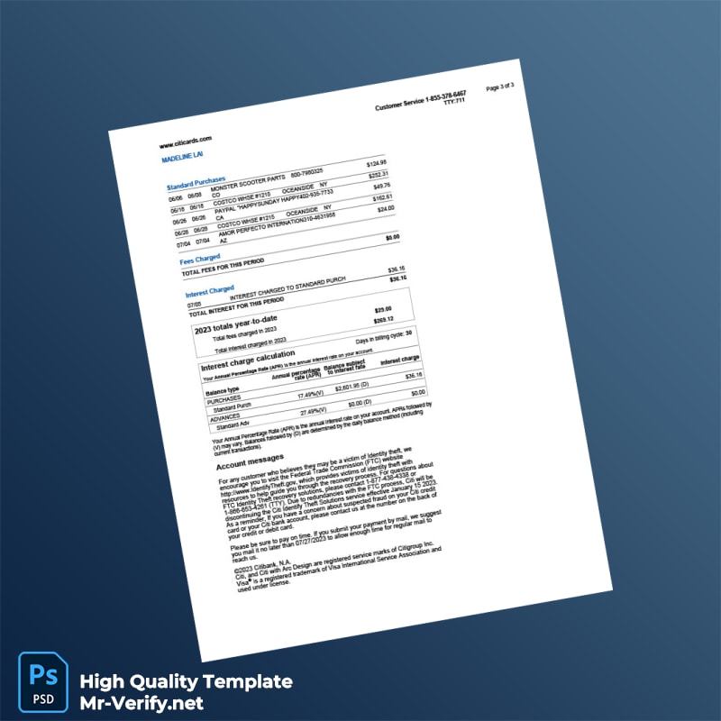 USA Citi Bank Statement Template in Word and PDF formats page 3 USA Citi Bank Statement Template in Word and PDF formats page 3