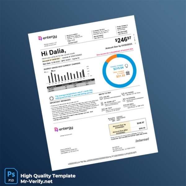 USA Entergy Editable Electricity Bill Template in Word and PDF formats