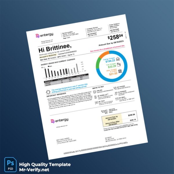 USA Entergy Editable Utility Bill Template in Word and PDF formats USA Entergy Editable Utility Bill Template in Word and PDF formats