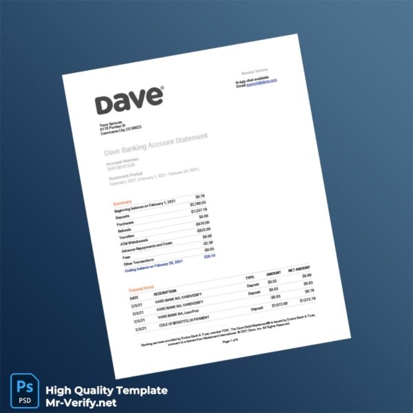 USA Evolve Bank Trust Account Statement Template in Word and PDF formats