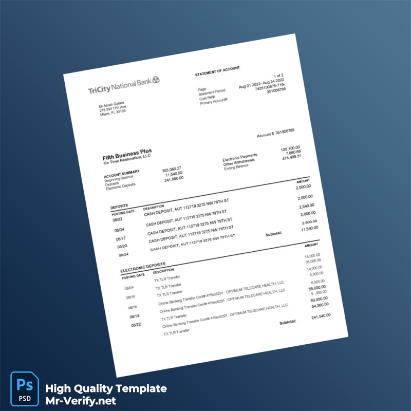 USA Fifth Business Plus Account Statement Template in Word and PDF formats USA Fifth Business Plus Account Statement Template in Word and PDF formats