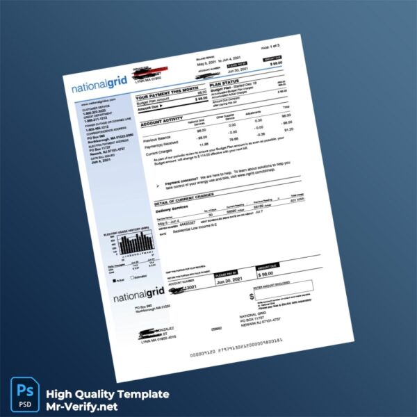 USA National Grid Editable Electricity Bill Template in Word and PDF formats USA National Grid Editable Electricity Bill Template in Word and PDF formats