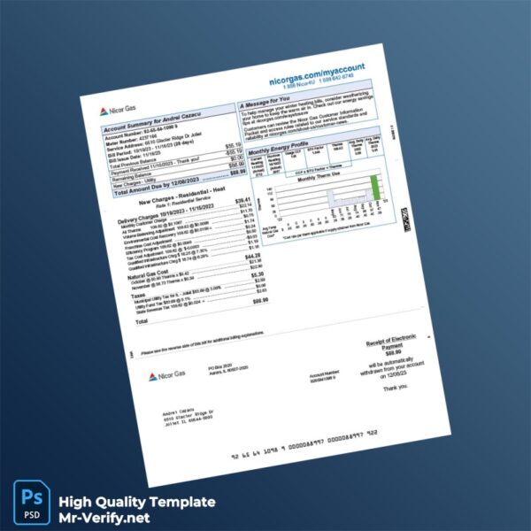 USA Nicor Gas Editable Gas Bill Template in Word and PDF formats