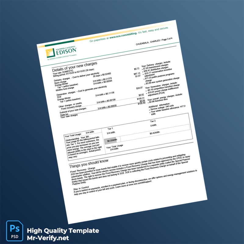 USA SCE Editable Utility Bill Template in Word and PDF formats page 3 USA SCE Editable Utility Bill Template in Word and PDF formats page 3