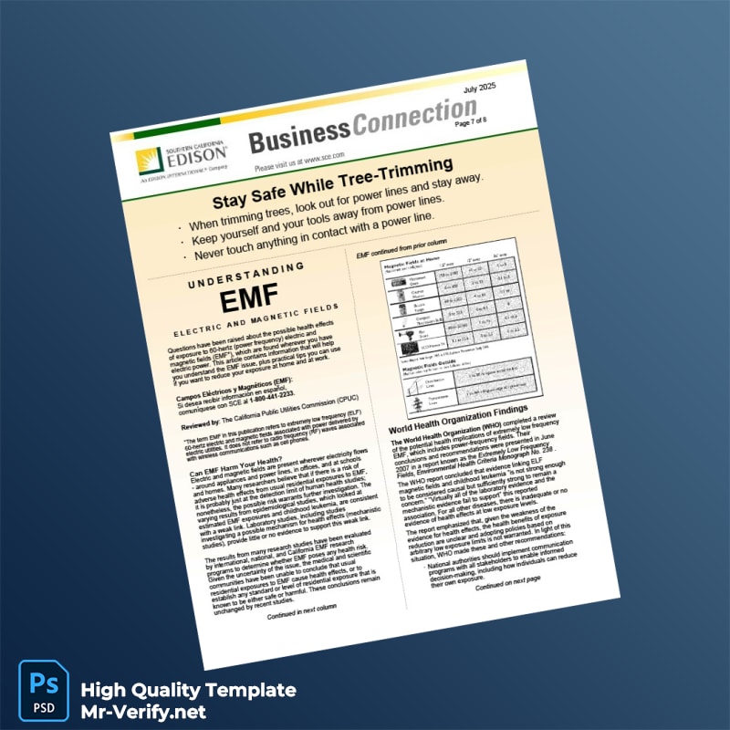 USA Southern California Edison Editable Electricity Bill Template in Word and PDF formats page 7 USA Southern California Edison Editable Electricity Bill Template in Word and PDF formats page 7