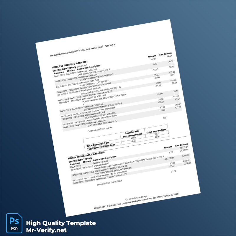 USA Suncoast Bank Statement Template in Word and PDF formats page 3 USA Suncoast Bank Statement Template in Word and PDF formats page 3
