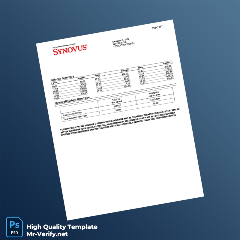 USA Synovus Bank Statement Template in Word and PDF formats page 7 USA Synovus Bank Statement Template in Word and PDF formats page 7