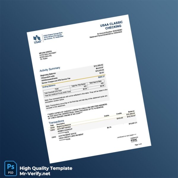 USA USAA Federal Savings Bank Bank Statement Template in Word and PDF formats