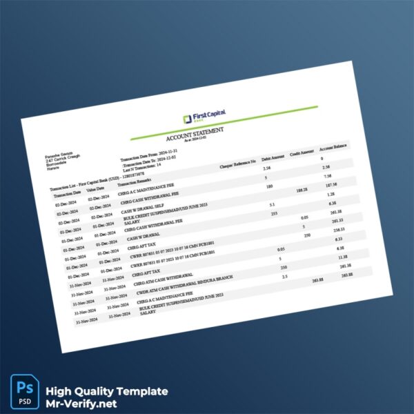 Zimbabwe Bank Statement Template in Word and PDF formats