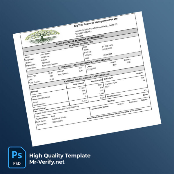 Big Tree Resource Management Pvt Ltd payslip word and pdf template