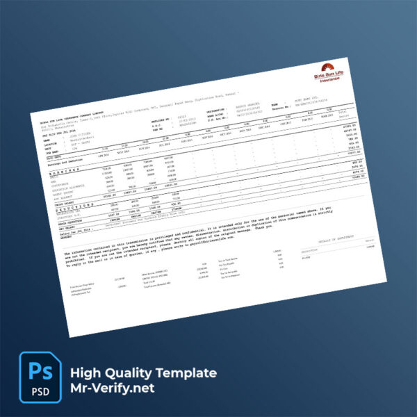 Birla Sun Life Insurance Company Limited payslip word and pdf template