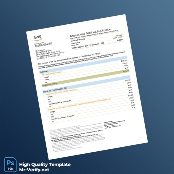 Brazil Amazon Web Services Invoice Template in Word and PDF formats