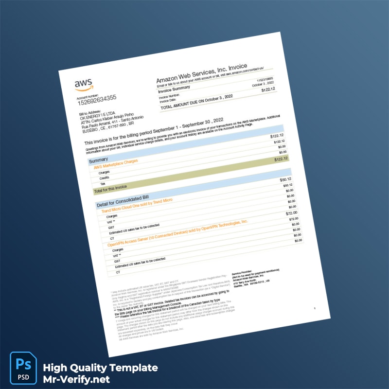 Brazil Amazon Web Services Invoice Template in Word and PDF formats Brazil Amazon Web Services Invoice Template in Word and PDF formats