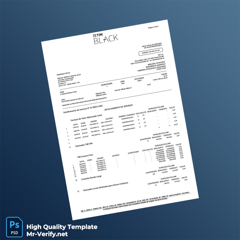 Brazil TIM Invoice Template in Word and PDF formats page 3 Brazil TIM Invoice Template in Word and PDF formats page 3