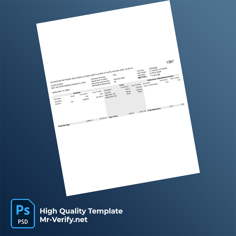 Celandyne-Software-Solutions-LLC-earning-statement-word-and-pdf-template-2 Celandyne Software Solutions LLC earning statement word and pdf template