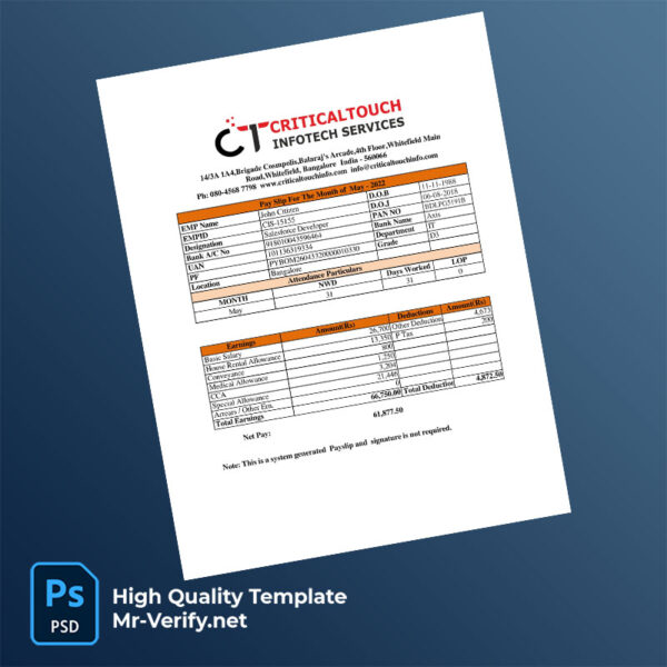Critical Touch Infotech Services payslip word and pdf template