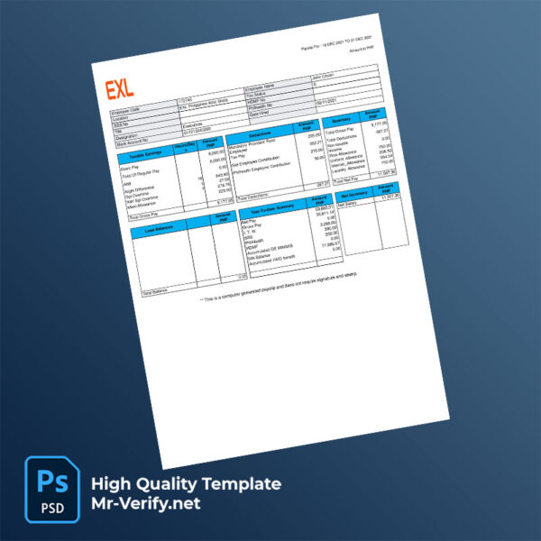 EXL-payslip-word-and-pdf-template-mrverify EXL payslip word and pdf template