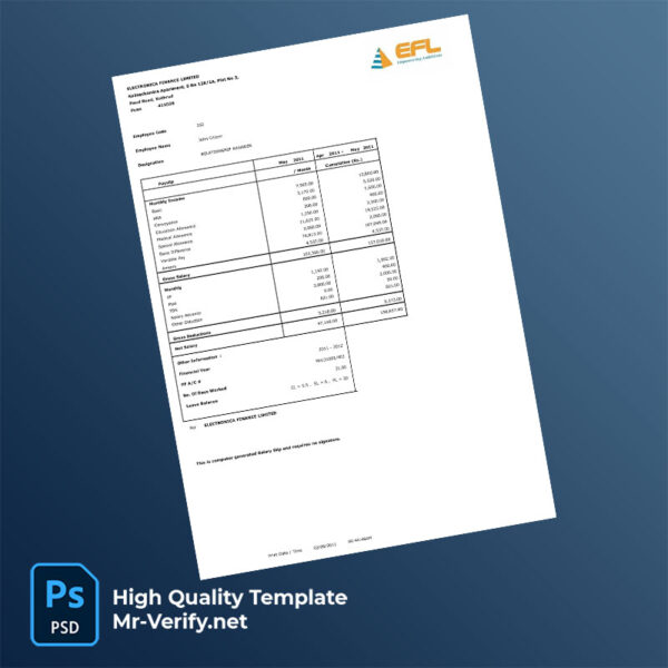 Electronica Finance Limited payslip word and pdf template