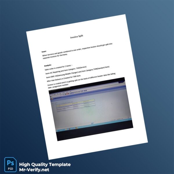 Germany Invoice Split Template in Word and PDF formats