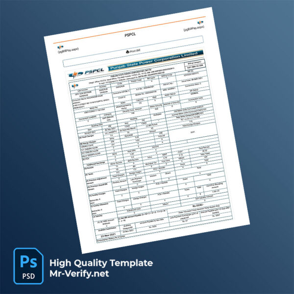India Punjab State Power Corporation Limited Editable Electricity Bill Template in Word and PDF formats