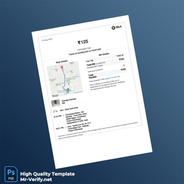 India ANI Technologies Invoice Template in Word and PDF formats