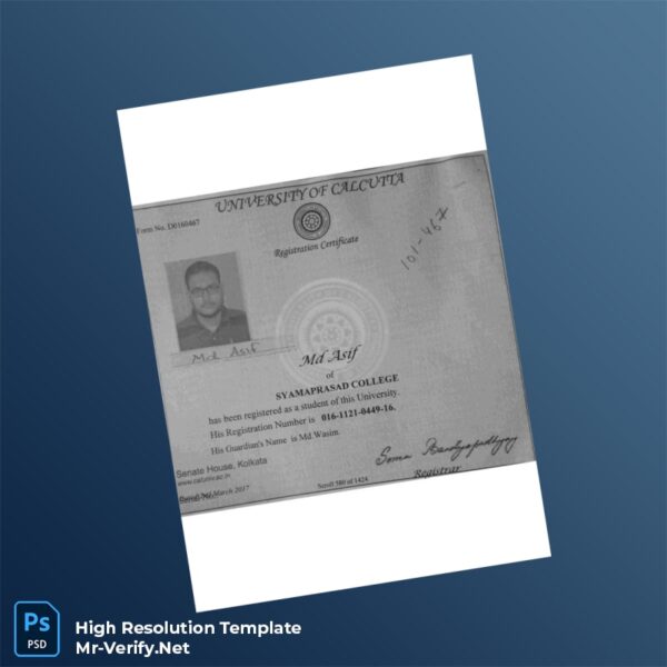 Editable India University Registration Certificate Word and Pdf Template Preview - Mac Doc