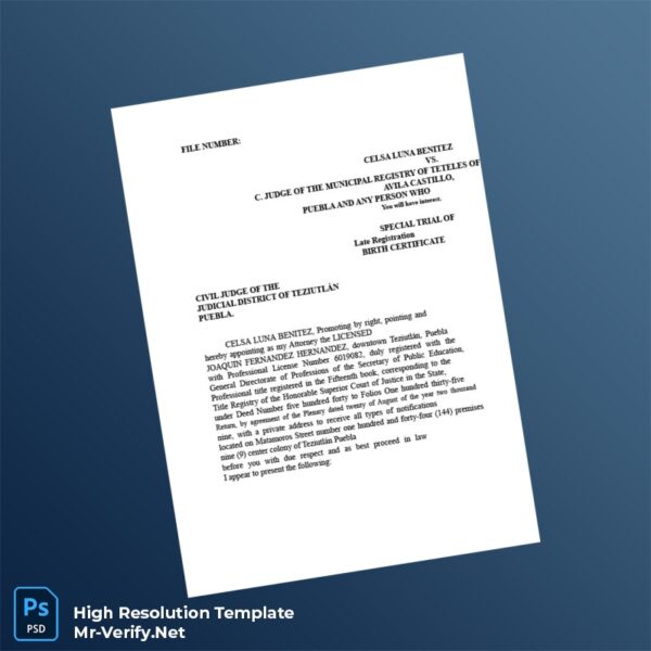 Editable Mexico Municipal Registry Late Registration Petition for Birth Certificate Word and Pdf Template Preview - Mac Doc