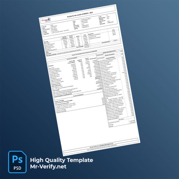 Omega Healthcare payslip word and pdf template
