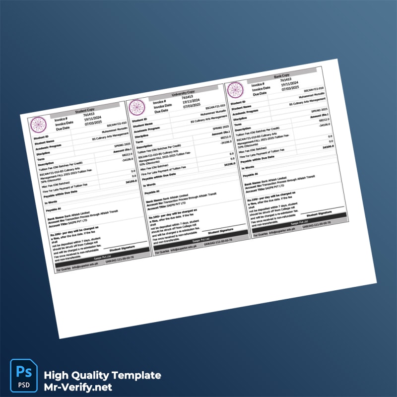 Pakistan Invoice Template in Word and PDF formats Pakistan Invoice Template in Word and PDF formats