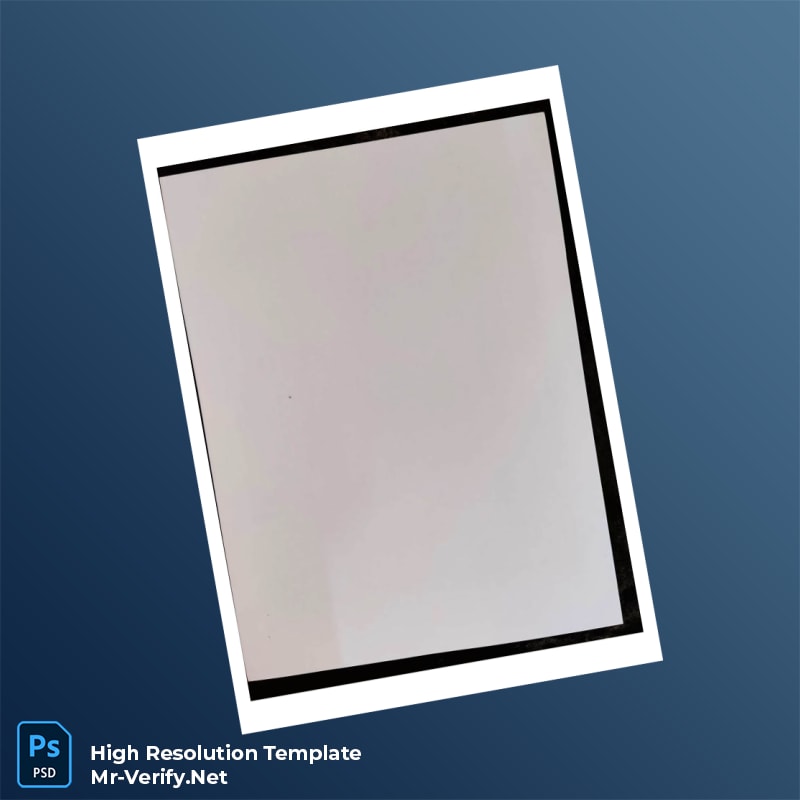Pakistan%20Punjab%20Pharmacy%20Council%20Renewal%20Registration%20Certificate%20Template%20in%20Word%20and%20PDF%20formats-page2 Pakistan Punjab Pharmacy Council Renewal Registration Certificate Word and Pdf Template page 2