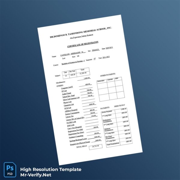 Editable Philippines Dr Domingo B Tamondong Memorial School Registration Certificate Word and Pdf Template Preview - Mac Doc