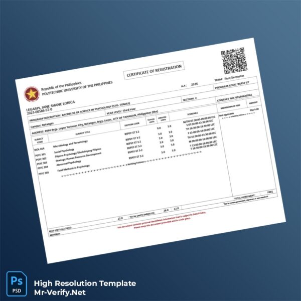 Editable Philippines Editable Registration Certificate Word and Pdf Template Preview