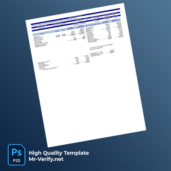 RAE Group Holdings Inc pay stub word and pdf template