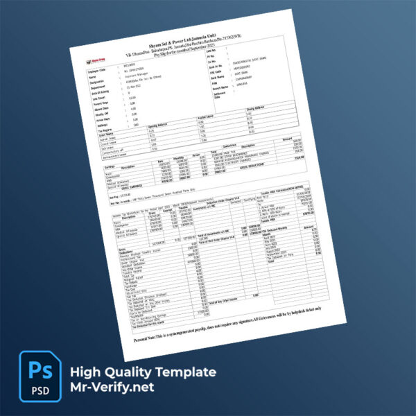 Shyam-Sel-&-Power-Ltd-payslip-word-and-pdf-template-mrverify Shyam Sel & Power Ltd payslip word and pdf template